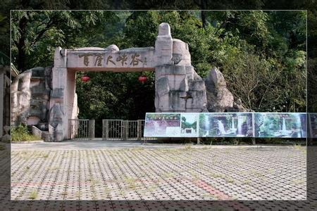 来宾天气预报10天查询，末来十天天气