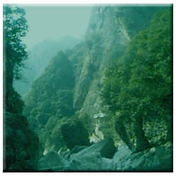 金华齐庐山天气 金华齐庐山天气
