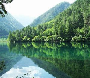 成都龙泉天气